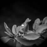 Instant Relaxation for Your Business: The Power of PPC Advertising for Massage Therapists in Bradenton