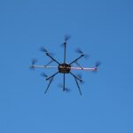 Invisible Yet Impactful: How SEO Can Eliminate Barriers for Small Pest Control Businesses in Bradenton