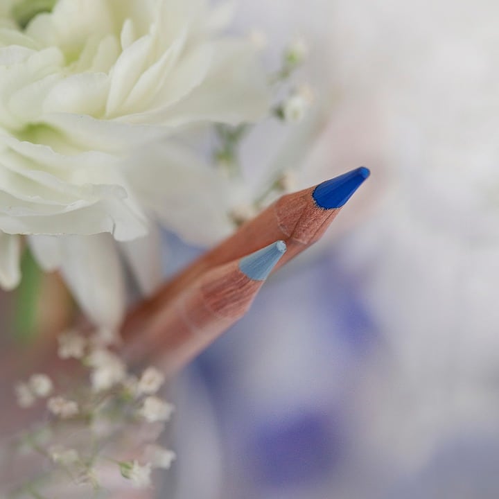 Kickstart Your Business: How PPC Advertising Can Transform Sarasota Martial Arts Schools