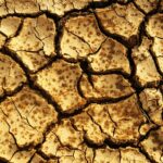 Level Up Your Land Grading Business: How PPC Can Bring Sarasota Customers Right to Your Door