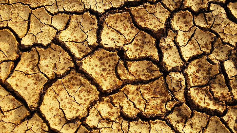 Level Up Your Land Grading Business: How PPC Can Bring Sarasota Customers Right to Your Door