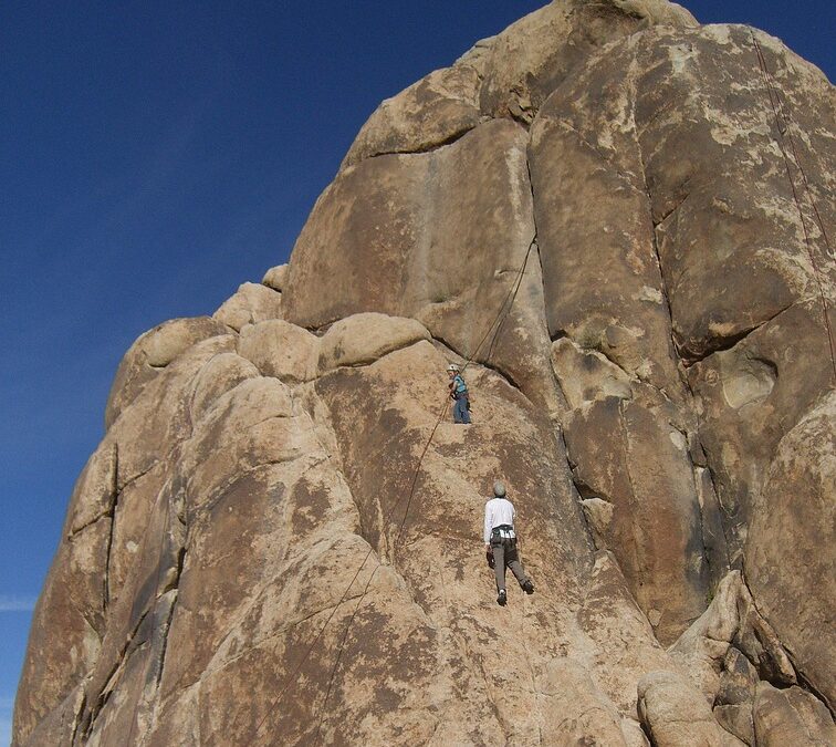 Local Love: How PPC Marketing Can Elevate Your Bradenton Physical Therapy Business Above the Competition!