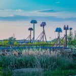 Local Love: Why SEO is Your Secret Weapon for Attracting More Clients in Bradenton's Demolition Industry
