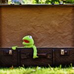 Local Search, Local Success: Why Bradenton Junk Removal Companies Need SEO to Thrive