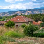 Local Spotlight: How Targeted PPC Campaigns Can Elevate Your Tile Business in Bradenton