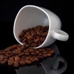 Local Success: Mastering SEO to Attract More Students to Your Sarasota Tutoring Business