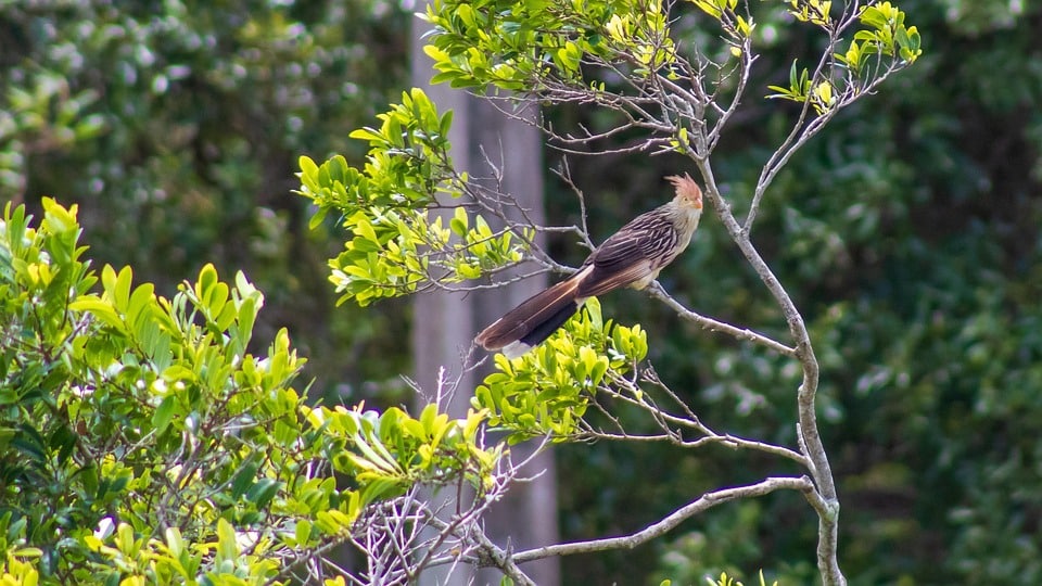 Local Success: Why Every Sarasota Accountant Needs an Effective SEO Strategy