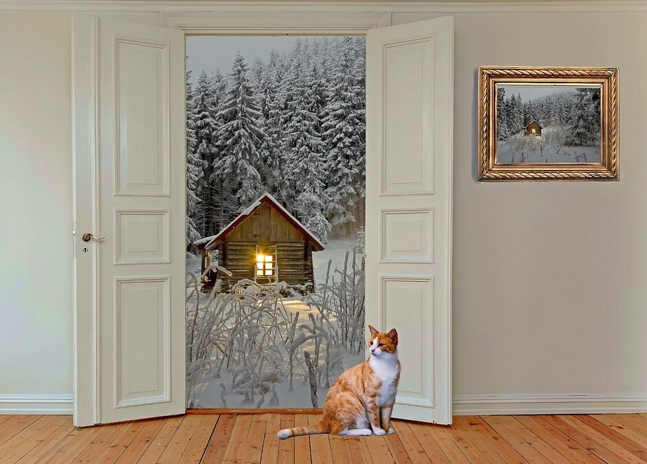 Making the Right Impression: Why Sarasota Door Installers Need a Strong SEO Game Plan