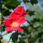 Massage Your Metrics: Why Every Bradenton Day Spa Needs an SEO Makeover for a Blooming Business