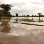 Maximize Your Reach: The Essential Role of PPC in Driving Local Clients to Your Bradenton Insurance Business