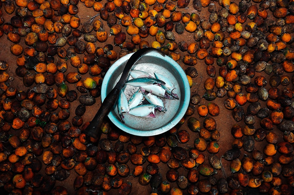 Maximize Your Reach: The Power of PPC for Small Tax Preparers in the Heart of Bradenton