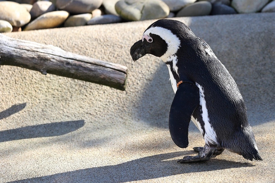 Mixing It Up: How Targeted PPC Campaigns Can Elevate Your Sarasota Concrete Services