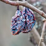 Mold No More: Unlocking the SEO Secrets to Boost Your Sarasota Business Visibility