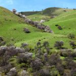 Mowing Down the Competition: 5 SEO Strategies Every Bradenton Lawn Care Business Should Know