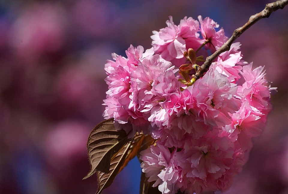 Nail Down New Clients: How Effective SEO Transforms Your Sarasota General Contracting Services into Local Favorites