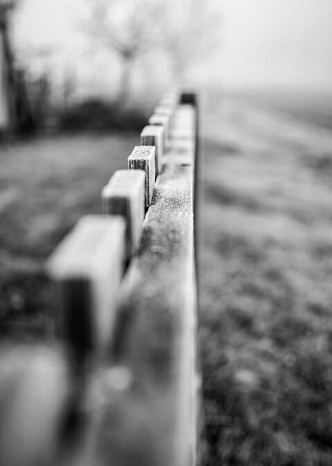 Nailing It with SEO: A Guide for Bradenton Fence Installers to Attract More Local Customers