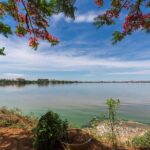 Navigate the Septic Service Landscape: Harnessing PPC to Attract More Local Customers in Bradenton