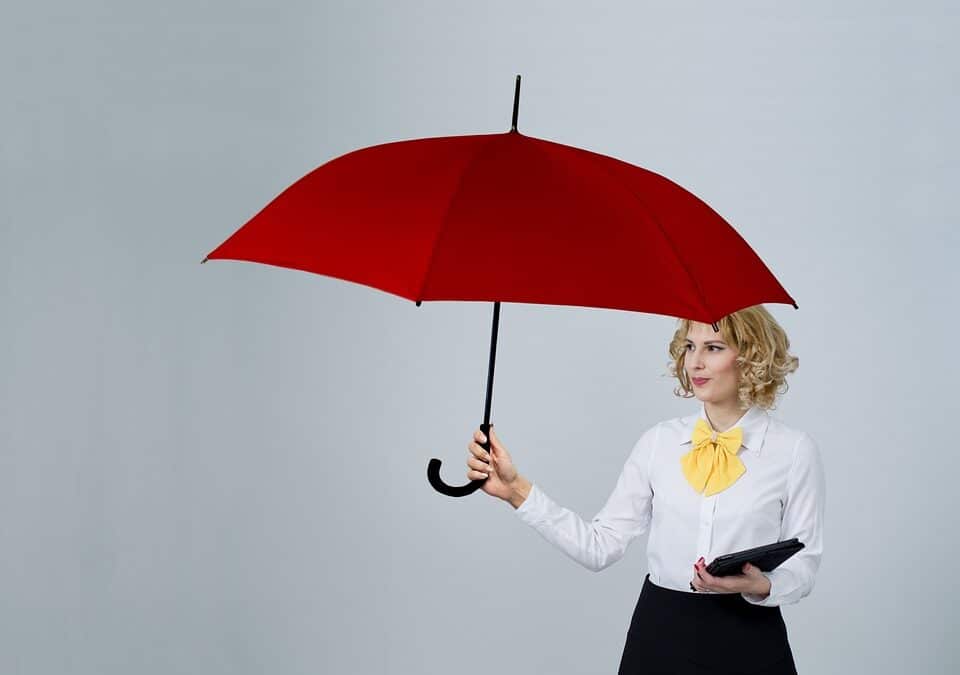 Navigating the Digital Landscape: How PPC Can Transform Your Bradenton Insurance Business