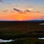 Navigating the Digital Landscape: How SEO Can Transform Sarasota’s IT Business Success