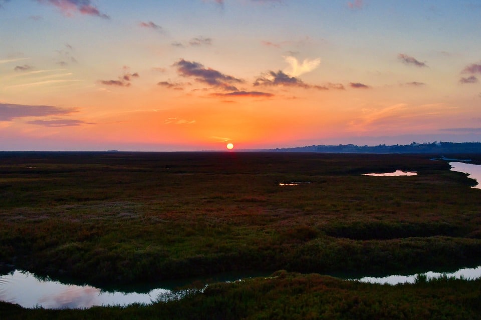 Navigating the Digital Landscape: How SEO Can Transform Sarasota’s IT Business Success