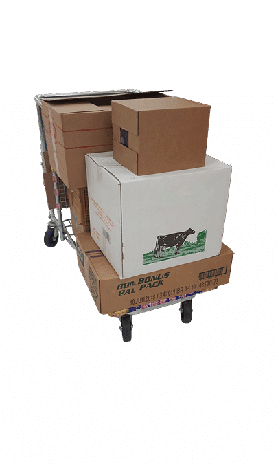 Pack Up Your Profits: How PPC Can Elevate Your Sarasota Packing Business