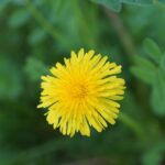 Pamper Your Profits: Harnessing the Power of PPC to Attract Sarasota Spa Enthusiasts