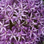 Pamper Your Visibility: Why Every Bradenton Day Spa Needs a Stellar SEO Strategy!