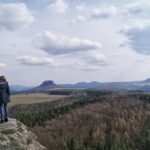 Paws-itively Profitable: The Unleashed Benefits of PPC for Sarasota's Dog Walking Entrepreneurs