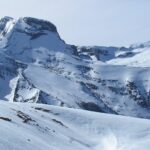 Pawsitive Online Presence: How SEO Can Fetch More Clients for Bradenton Dog Walkers