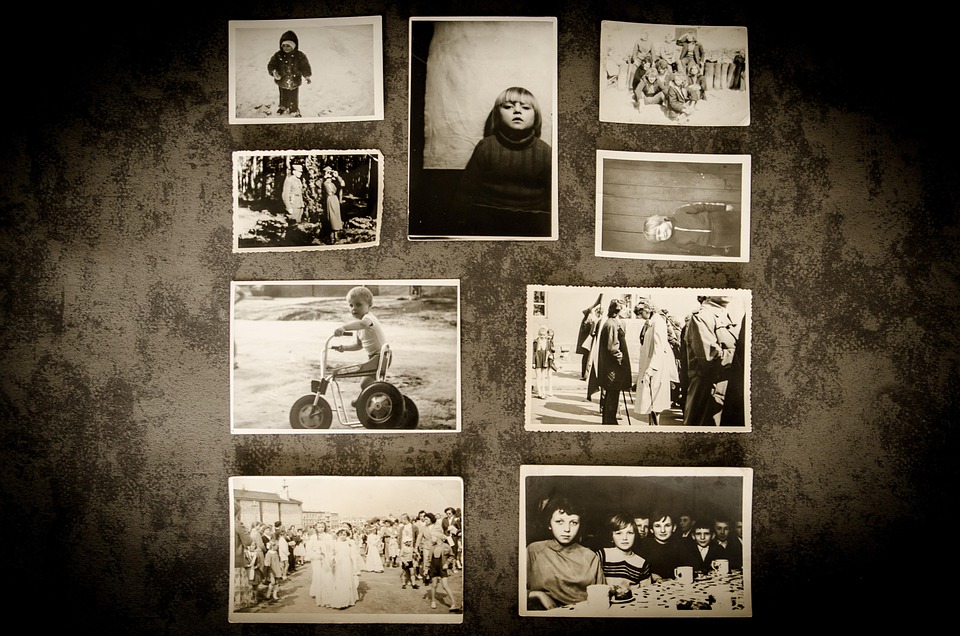 Picture This: How Mastering SEO Can Transform Your Photography Business in Bradenton