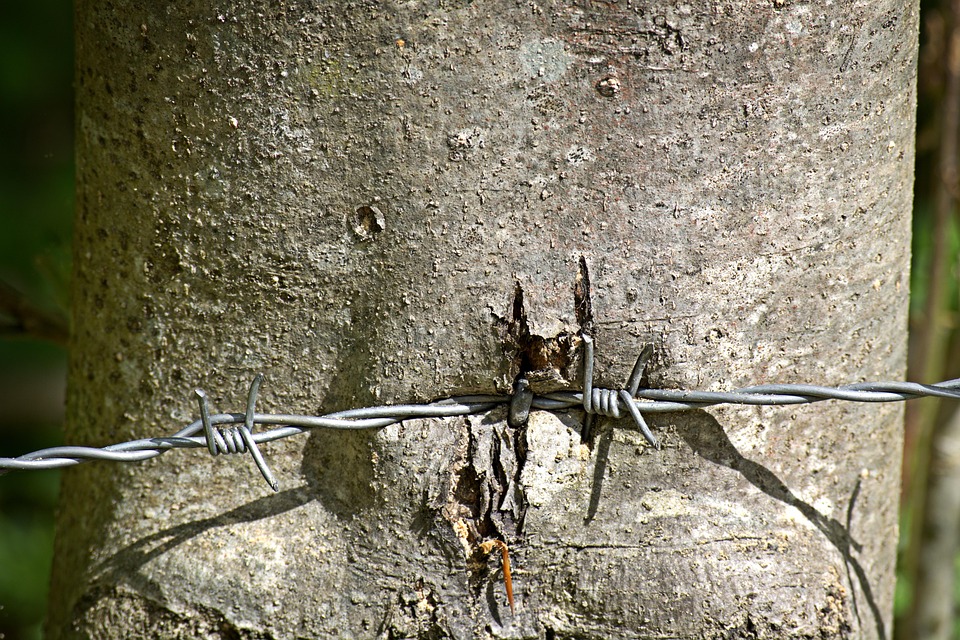 Polish Your Presence: How SEO Can Make Your Sarasota Nail Salon Shine Online