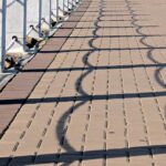 Pouring Profits: How PPC Advertising Can Solidify Your Concrete Business in Sarasota