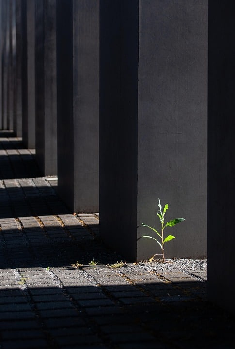 Pouring Success: 5 SEO Strategies Every Sarasota Concrete Contractor Should Know