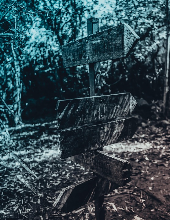 Radiate Success: Why Every Bradenton Solar Panel Installer Needs a Solid SEO Plan