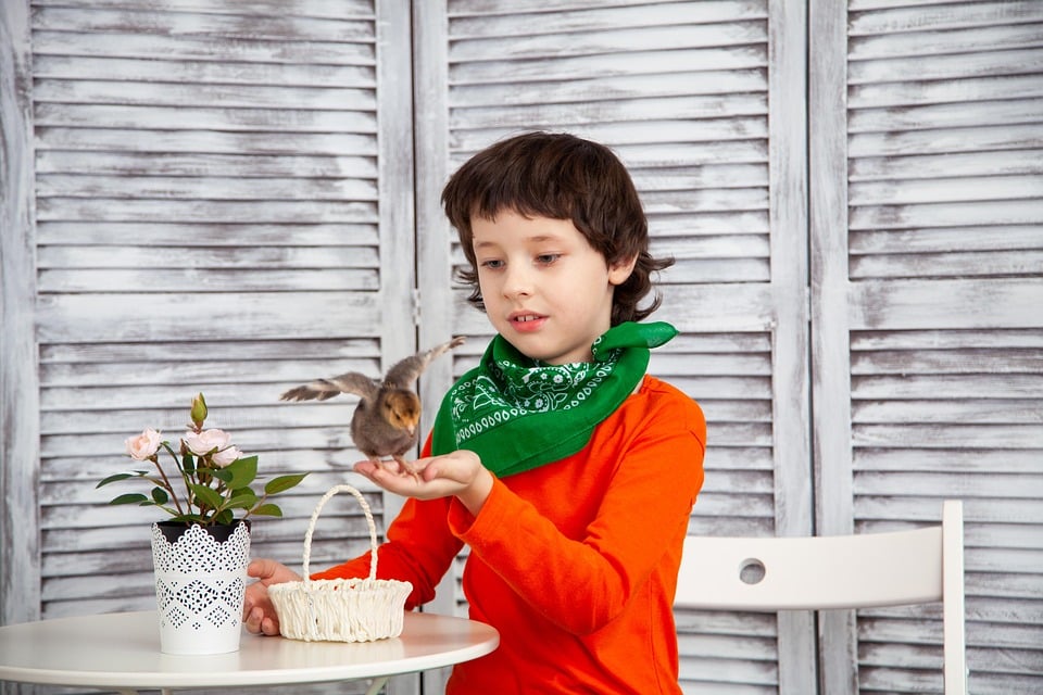 Rank Higher, Enroll More: The SEO Playbook for Sarasota Child Care Centers