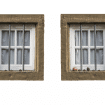 Reflecting on Growth: Why Every Sarasota Window Cleaner Needs an SEO Strategy