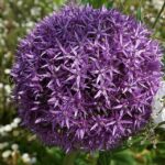 Relax and Profit: How a Smart PPC Campaign Can Elevate Your Bradenton Day Spa’s Success!