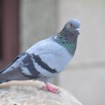 Remodeling Your Online Presence: How Effective SEO Can Drive Local Customers to Your Sarasota Business