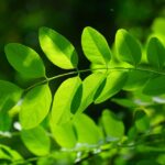 Renovate Your Online Presence: Discover the SEO Secrets Every Bradenton Contractor Should Know