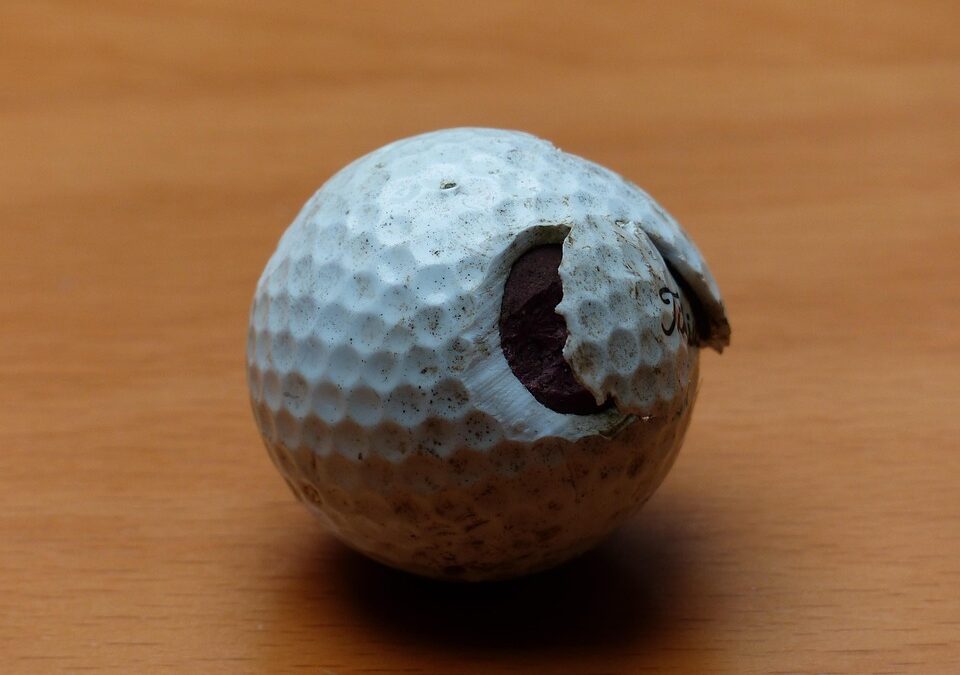 Revive Your Bradenton Water Damage Restoration Business: The SEO Benefits You Can’t Afford to Ignore