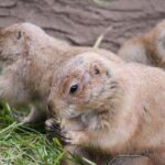 Rise Above the Competition: Essential SEO Strategies for Bradenton's Moving Companies