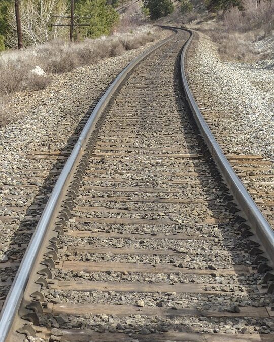 Rise Above the Rest: 5 PPC Strategies for Small Moving Companies in Bradenton