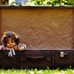 Rise Above the Rest: SEO Tips for Junk Hauling Businesses in Bradenton