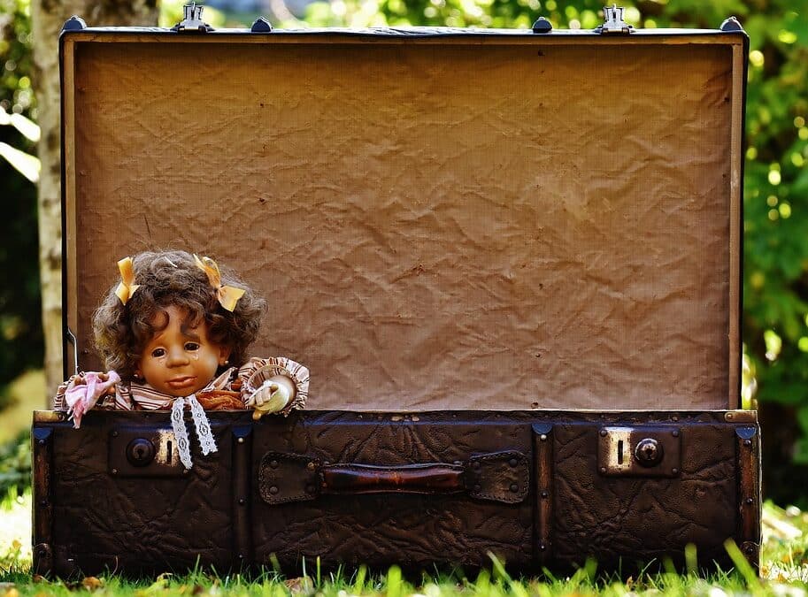 Rise Above the Rest: SEO Tips for Junk Hauling Businesses in Bradenton