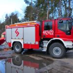 Rooting for Success: The Essential Guide to SEO for Bradenton’s Tree Service Owners