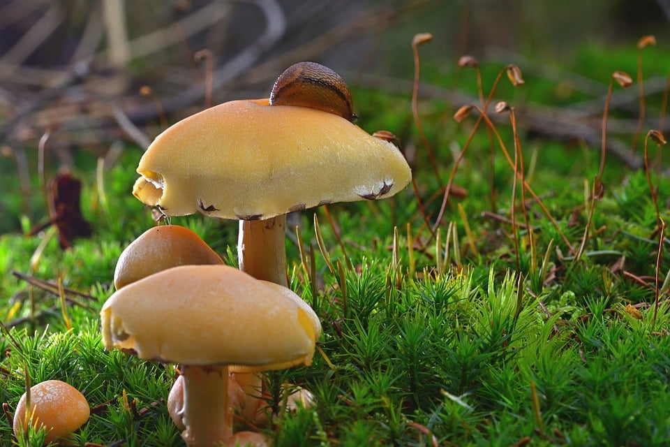 Sail Above the Competition: Unlocking the Benefits of PPC for Sarasota's Water Damage Experts