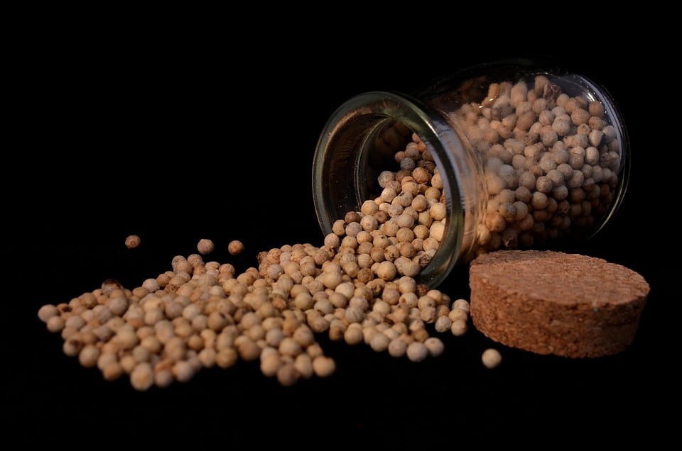 Sarasota Kitchen Remodeling: Why SEO is Your Secret Ingredient for Business Growth!