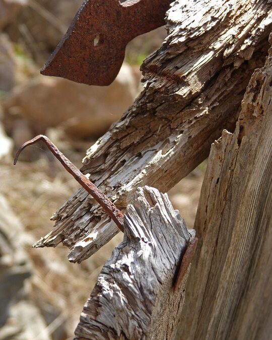 Sarasota Nail Salons: Unlocking Customer Growth Through Smart SEO Techniques