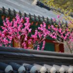 Sarasota Tile Installers: Why PPC Might Be Your Secret Weapon for Local Growth