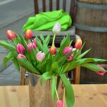 Savoring Success: How Local SEO Can Elevate Your Bradenton Catering Business